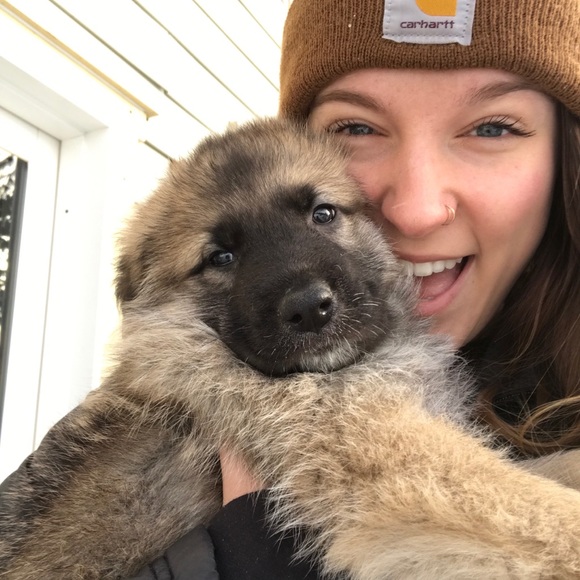 Meet your Posher, Carly - Picture 2 of 3